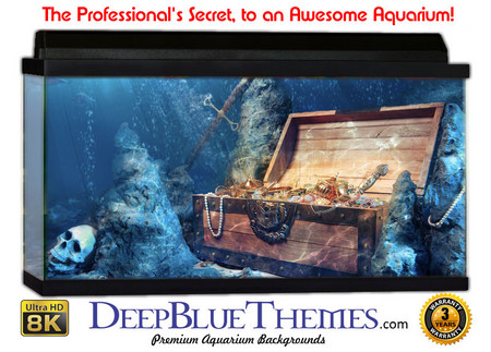Buy Aquarium Background Favorite Treasure Aquarium Background