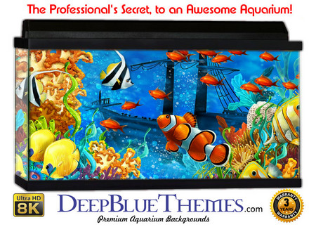 Buy Aquarium Background Fish Scape Aquarium Background