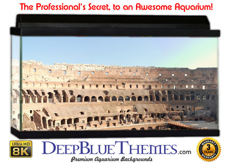 Buy Aquarium Background Scene Colosseum Aquarium Background