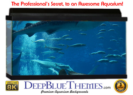 Buy Aquarium Background Shark Whale Aquarium Background