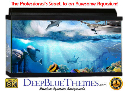 Buy Aquarium Background Uhd 014 Aquarium Background