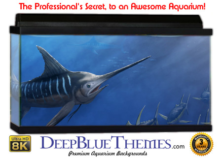 Buy Aquarium Background Uhd 029 Aquarium Background