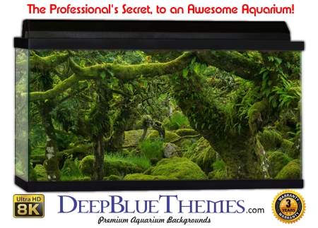 Buy Aquarium Background Moss 00001 Aquarium Background
