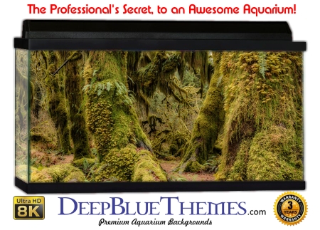Buy Aquarium Background Moss 00003 Aquarium Background
