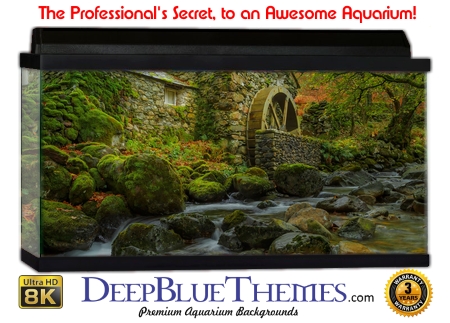 Buy Aquarium Background Moss 00004 Aquarium Background