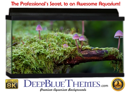 Buy Aquarium Background Moss 00005 Aquarium Background