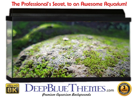 Buy Aquarium Background Moss 00007 Aquarium Background