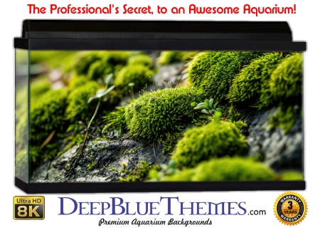 Buy Aquarium Background Moss 00008 Aquarium Background