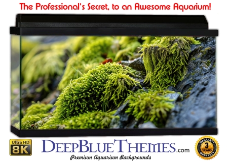 Buy Aquarium Background Moss 00009 Aquarium Background
