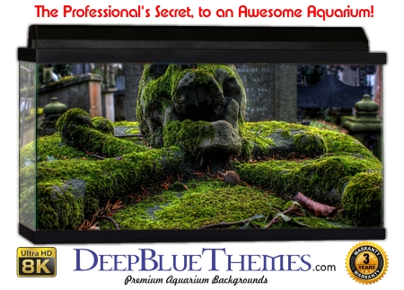 Buy Aquarium Background Moss 00011 Aquarium Background
