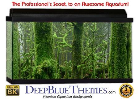 Buy Aquarium Background Moss 00012 Aquarium Background