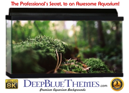 Buy Aquarium Background Moss 00013 Aquarium Background