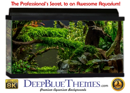 Buy Aquarium Background Moss 00014 Aquarium Background