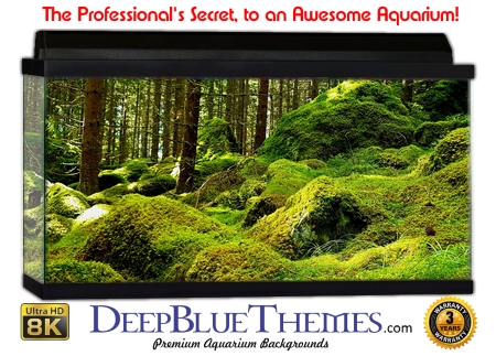 Buy Aquarium Background Moss 00016 Aquarium Background